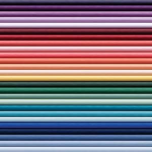 A vibrant assortment of colored pencils in a row.