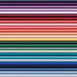 A vibrant assortment of colored pencils in a row.