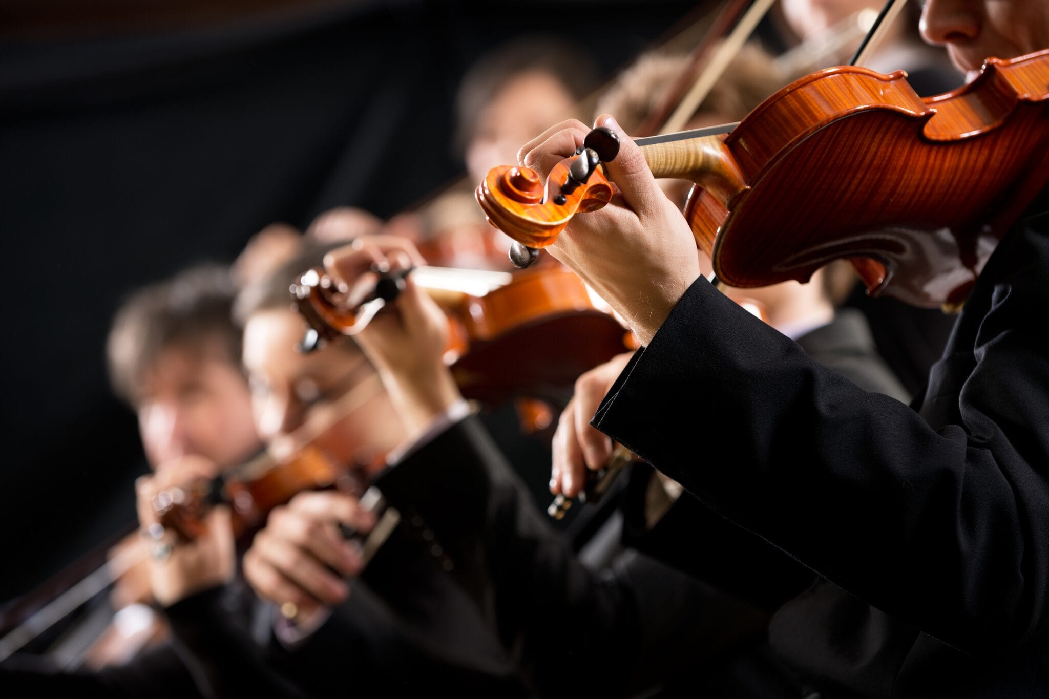A row of violinists in formal attire play their instruments during a performance.